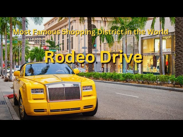 Things to Do on Rodeo Drive  The Maybourne Beverly Hills