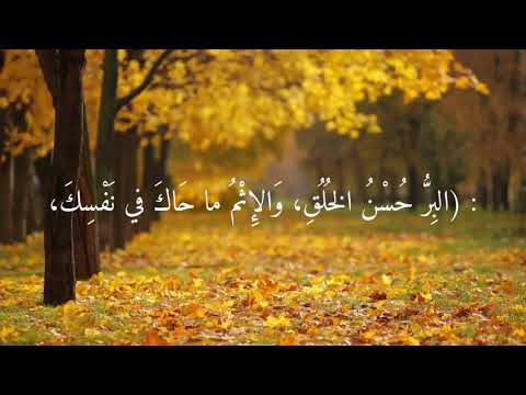 البر حسن الاخلاق حديث عن الرسول صلى الله عليه وسلم حديث شريف