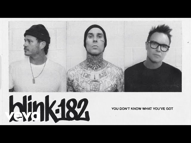 Blink-182 - You Don't Know What You've Got