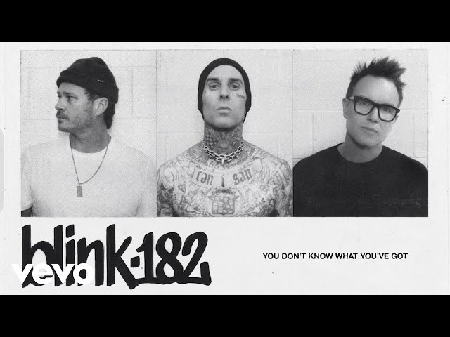 Blink-182 - You Don'T Know What You'Ve Got (Official Lyric Video)