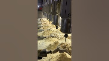 multi spindle 3D carving wood cnc router