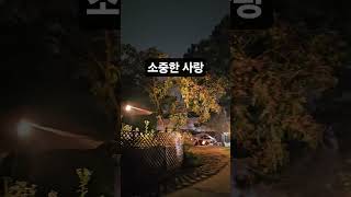 #뷰가좋은 캠핑장     #경기도캠핑장     #안성캠핑장  #애완견캠핑장 #차박캠핑장