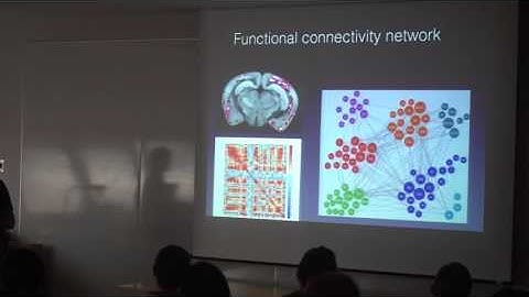 Jonathan Epp - Brain-wide analysis approaches and open source clearing methods