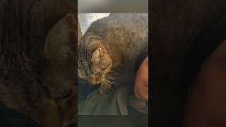 Various Photos ☺️