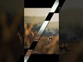 Wild life photography Sony a6000 #shorts #cinematic