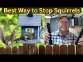 Squirrel Proof Your Bird Feeder