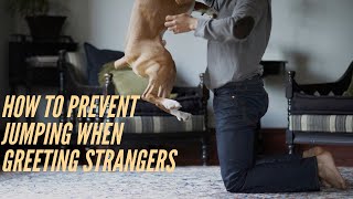 How To Prevent Jumping When Greeting New People!
