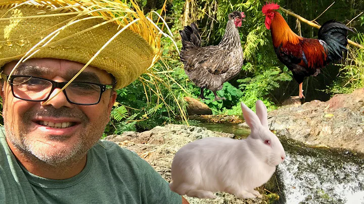 A Day At Efrain Ramos' Homestead in Puerto Rico