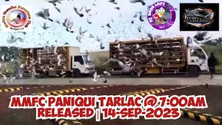 Mmfc Paniqui Tarlac 700Am Released 14-Sep-2023 Metro Manila Fancier Club Ndr 2023