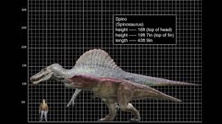 One eye & Spinosaurus Stze comparison