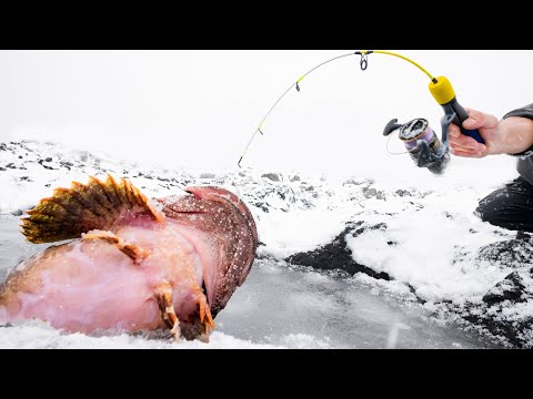 冬の海に現れるモンスターを捕獲する！のサムネイル
