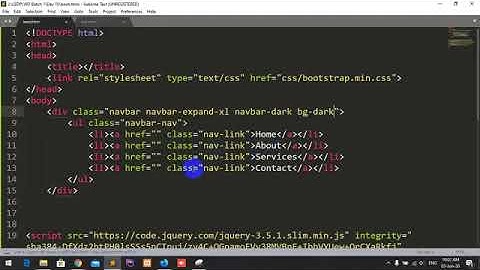 Web Design & Development Class Of LEDP (Day 10 Video)