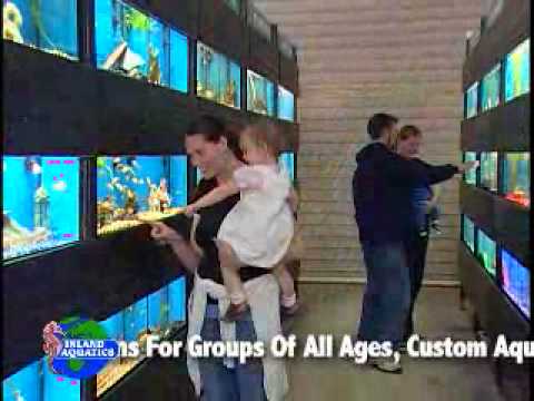 Inland Aquatics Commercial.wmv