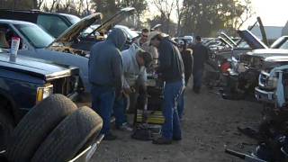 Ewe Pullet Harvest Day October 22nd 2011 Video 2