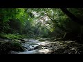 Sága krásy - Pri jarečku dzifčatečko. Folk song from Eastern Slovakia.