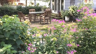 🌳 Small Urban Garden Tour ~ Outdoor Room Transformation ~ Green Oasis Patio 🌳