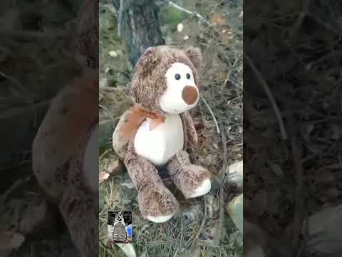 Про мишутку. Прыг-скок "Детские песенки" (в память Е. Летову)