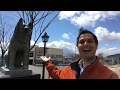 The Other Hachiko? The Other Hachiko?