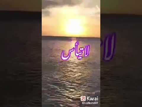 ربما يكون فيه خير وسعاده الدنيا والآخرة ربما يكون فيه خير وسعاده الدنيا والآخرة