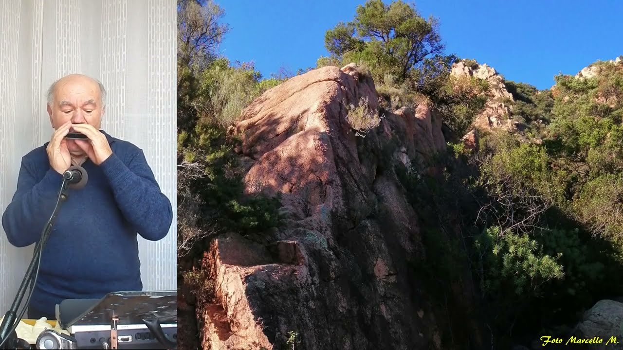 Jambalaya (1952) Harmonica YouTube