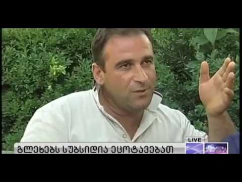 „ათ კილომეტრ „სეტკას“ ვიყიდით, კახეთს გადავღობავთ და წავალთ რუსეთისკენ“