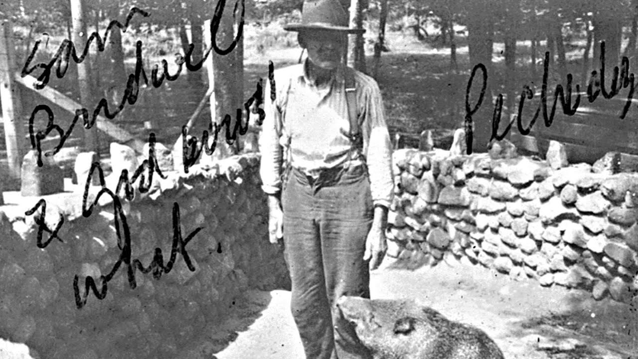 Now You Know - Highland Park Zoo