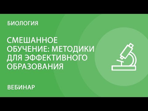 Видео: Проблемы проведения эпидемиологических исследований в зонах хронических конфликтов: примеры из PURE- Палестина