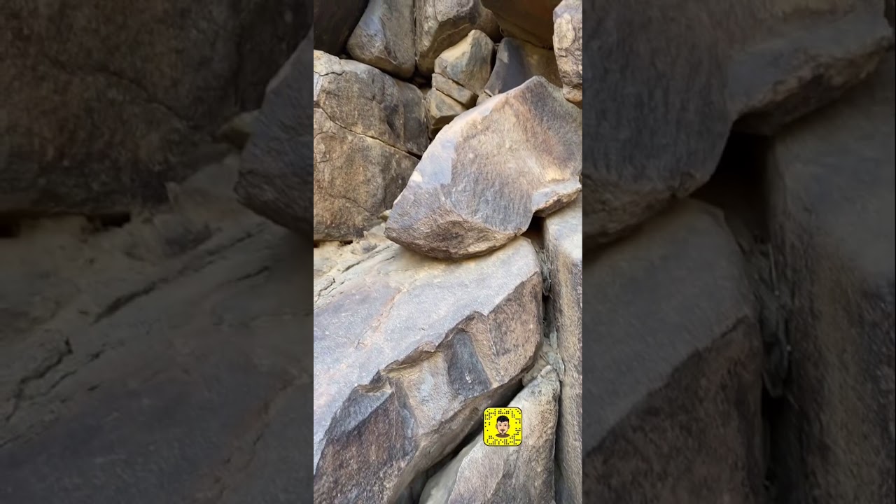 استخراج خلية نحل جبلي في الصخور وطريقة اخراج الملكه