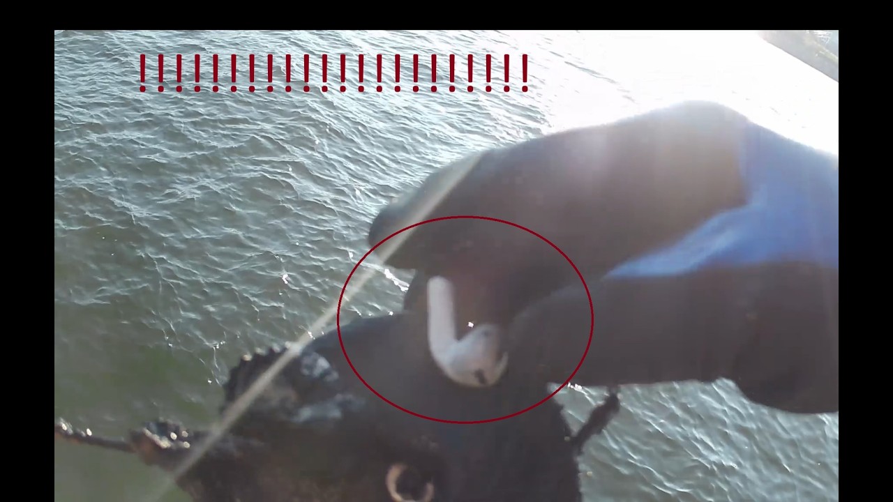 Camera test for magnet fishing!