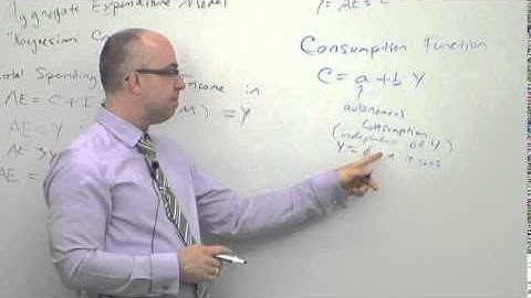 NEIU ECON Lecture Series 12 (Part 3): The Consumption Function