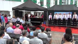 20120819 香港華僑華人總會合唱團表演(10)