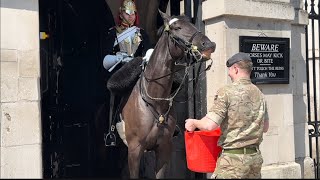 BEAUTIFUL MOMENT, king’s horse gets happy & LAUGHS after a drink of water 🥰😘😍