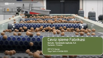 From Orchard to Your Table: Nisão-NutVision Unveils State-of-the-Art Walnut Processing Plant on RTP3