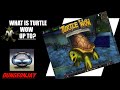 How Is Turtle WoW Doing?