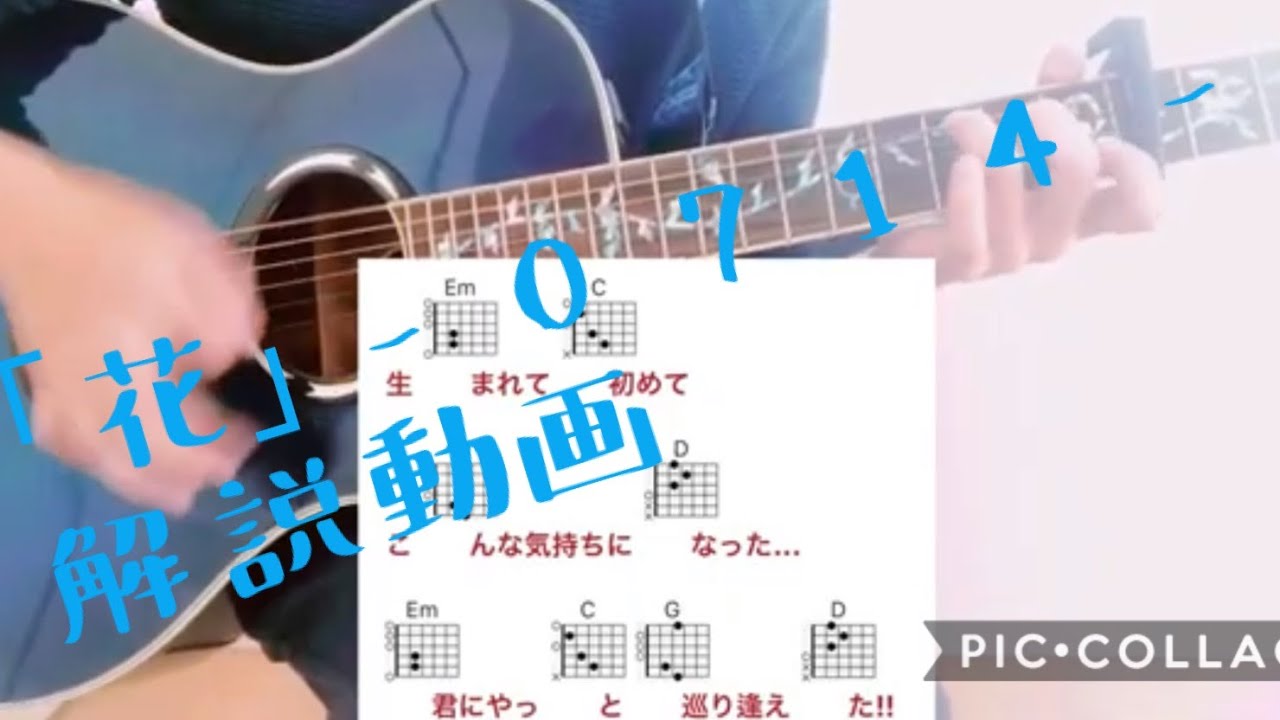 Guitar Lesson 花 0714 My First Story アコギ解説 初心者の方必見 Youtube