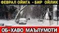 Видео по запросу "об хаво сурхандарё"