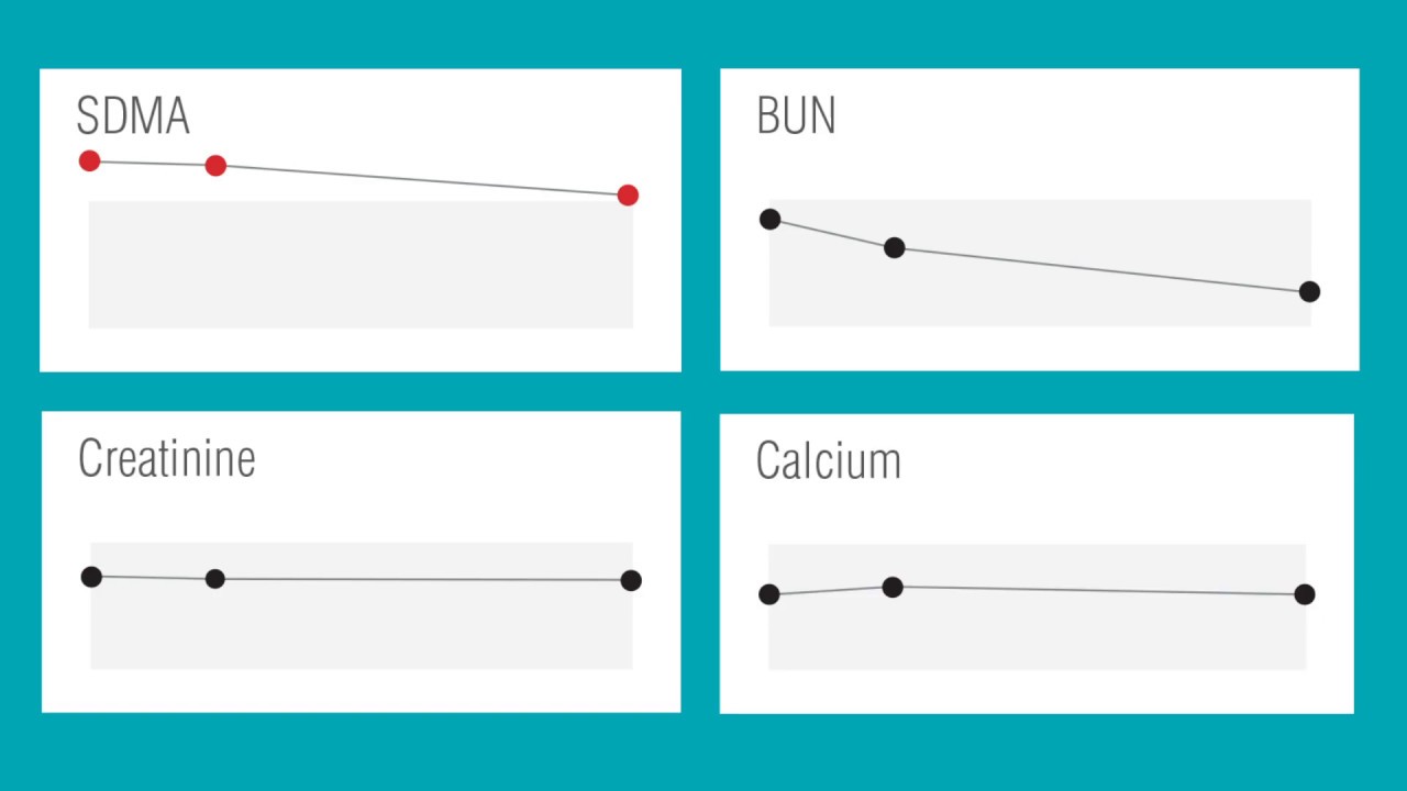 VetConnect Plus - Trend results