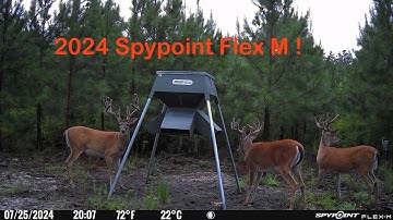 2024 Spypoint Flex-M video footage!