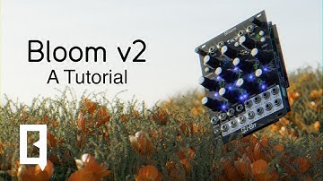 Bloom v2: A Tutorial