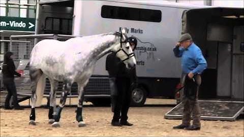 Monty Roberts and Freddie the non-loader at Hartpury College (2013)