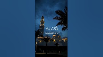 اكتب شيء تؤجر عليه ... #قران_كريم_ارح_سمعك_وقلبك #قرآن_كريم #راحة_نفسية #تلاوة_خاشعة #القرآن_الكريم