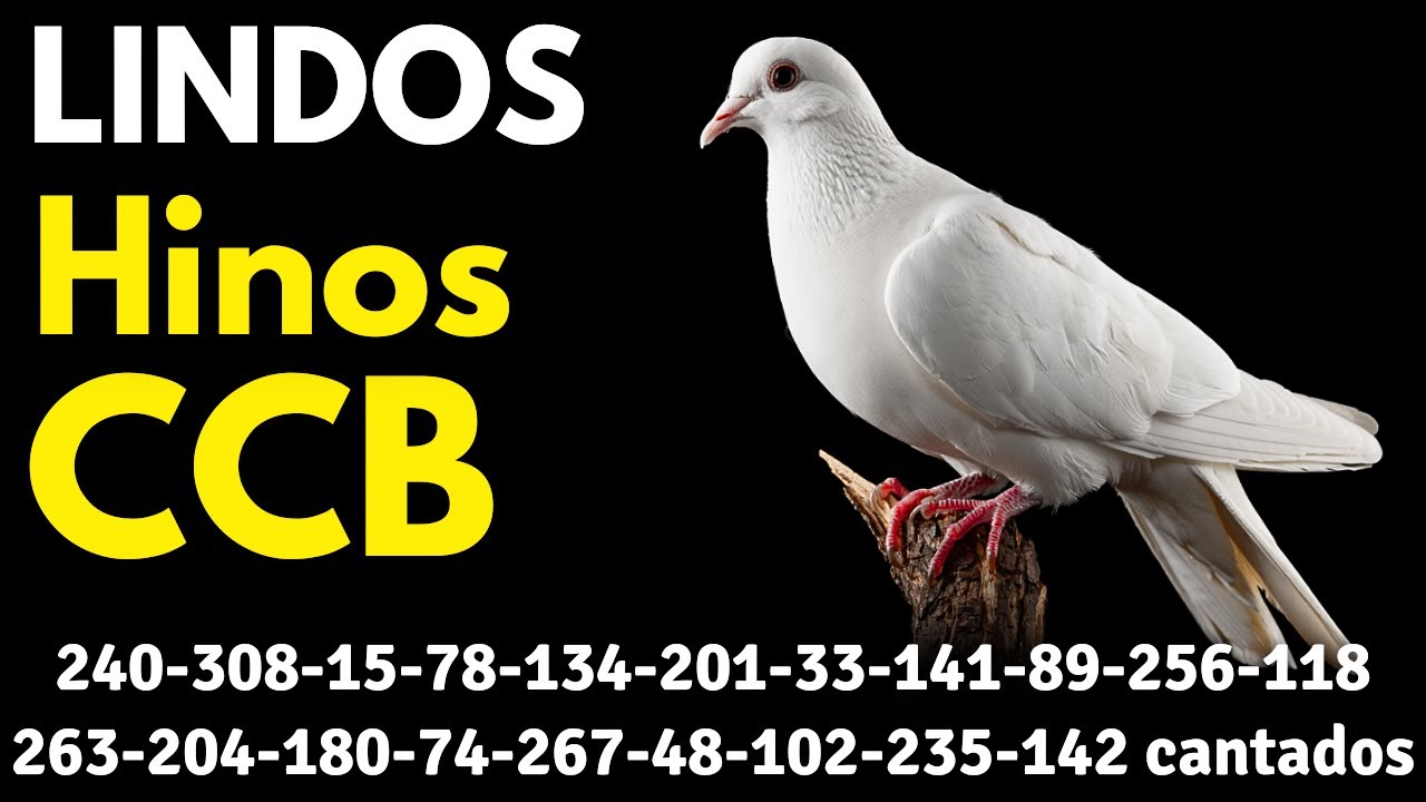 HINOS CCB 240-308-15-78-134-201-33-141-89-256-118-263-204-180-74-267-48-102-235-142 cantados