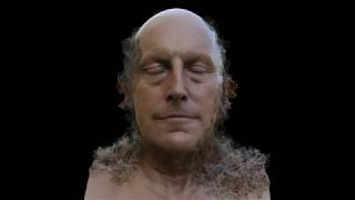 Head Disintegration