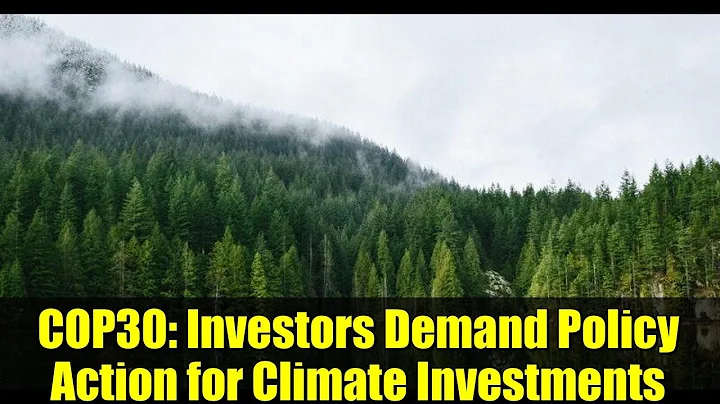 COP30: Investors Demand Policy Action for Climate Investments | Net Zero by 2050