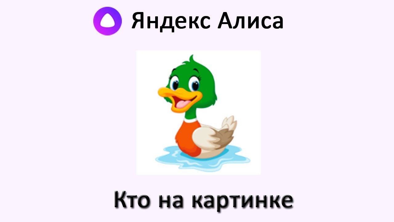 Алиса Угадай картинку. Алиспдавай поиграем в загадки. Алиса запустить игру угадай