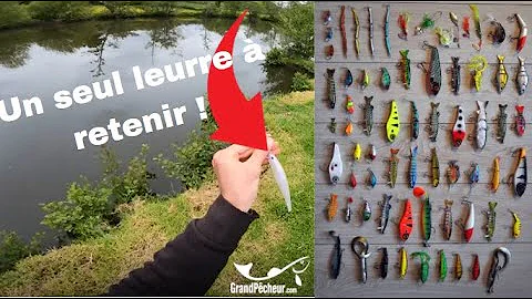 Quand pêcher au poisson nageur ?