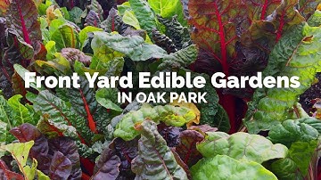 Garden Tour and Potluck Dinner - Invitation