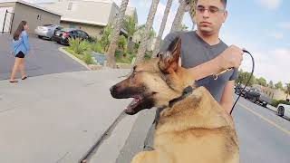 Intro, a little background, and what we do! by Intelligent K9 Dog Training 161 views 1 year ago 3 minutes, 25 seconds