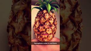 Spongebob Squarepants Theme Song - Pineapple -Snap