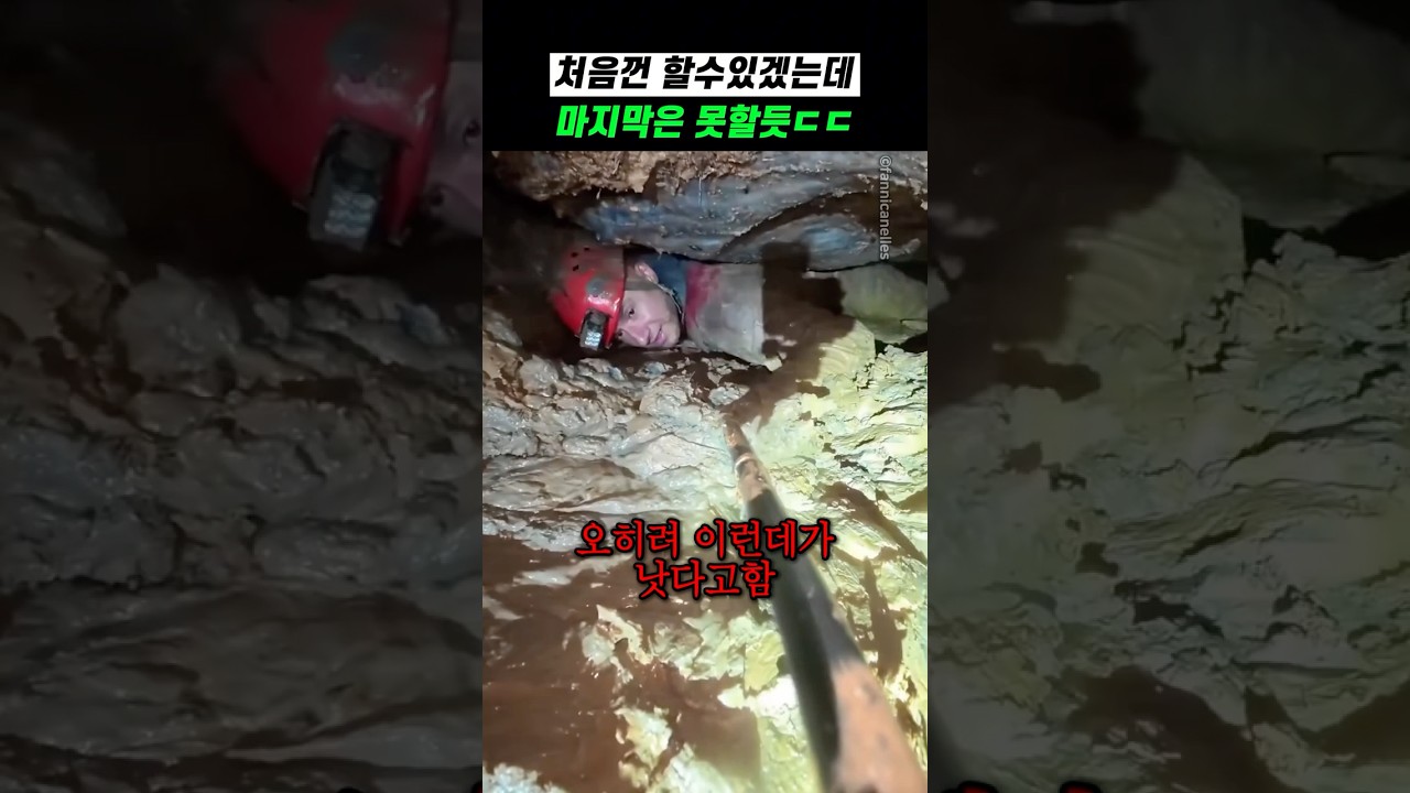 살면서 처음 보는 취미 생활ㄷㄷ